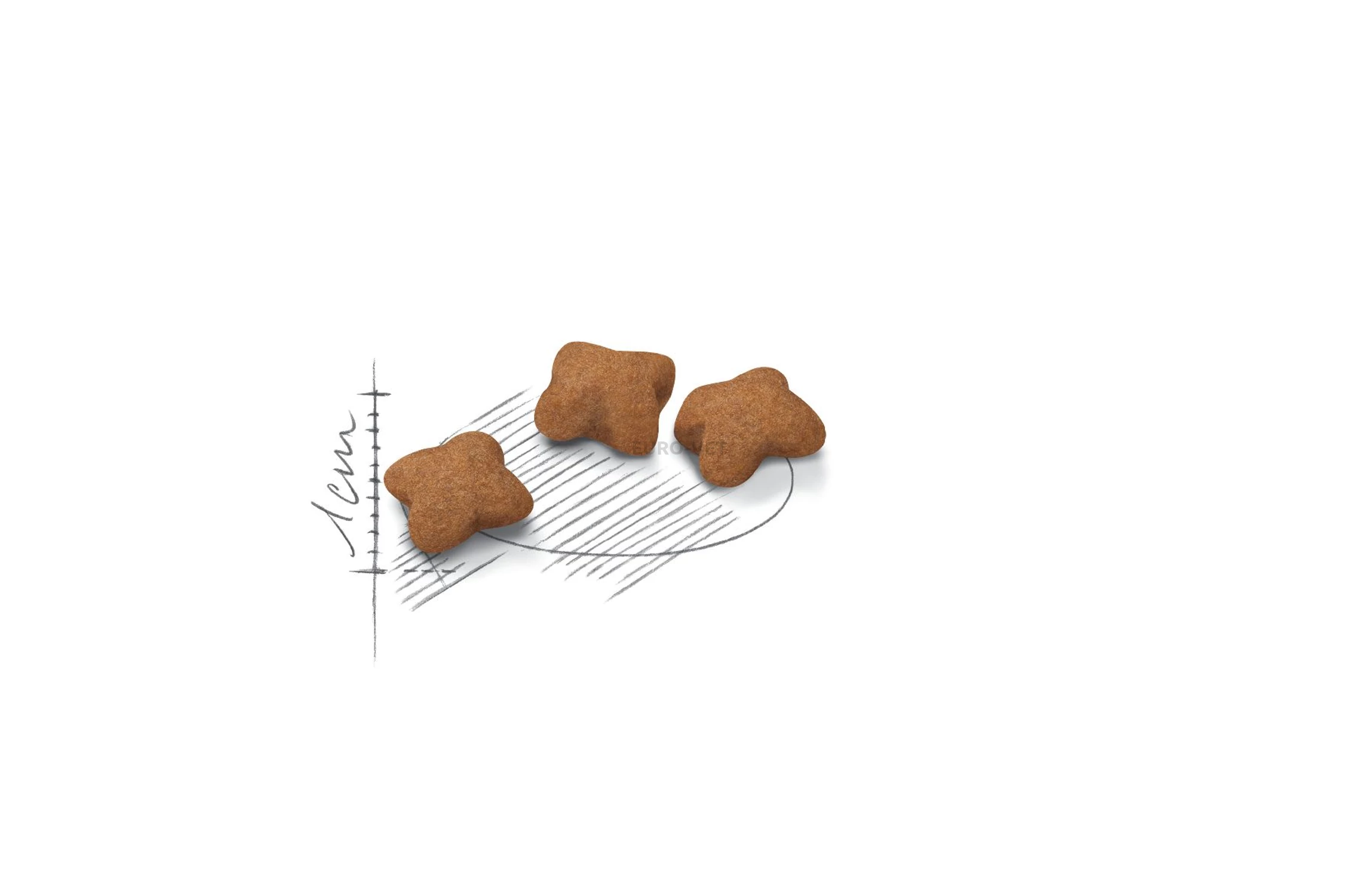 Royal Canin Kitten Sterilised 2 kg Feed EURO VET Webshop